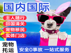 南宁吴圩机场快递国际宠物托运 【国